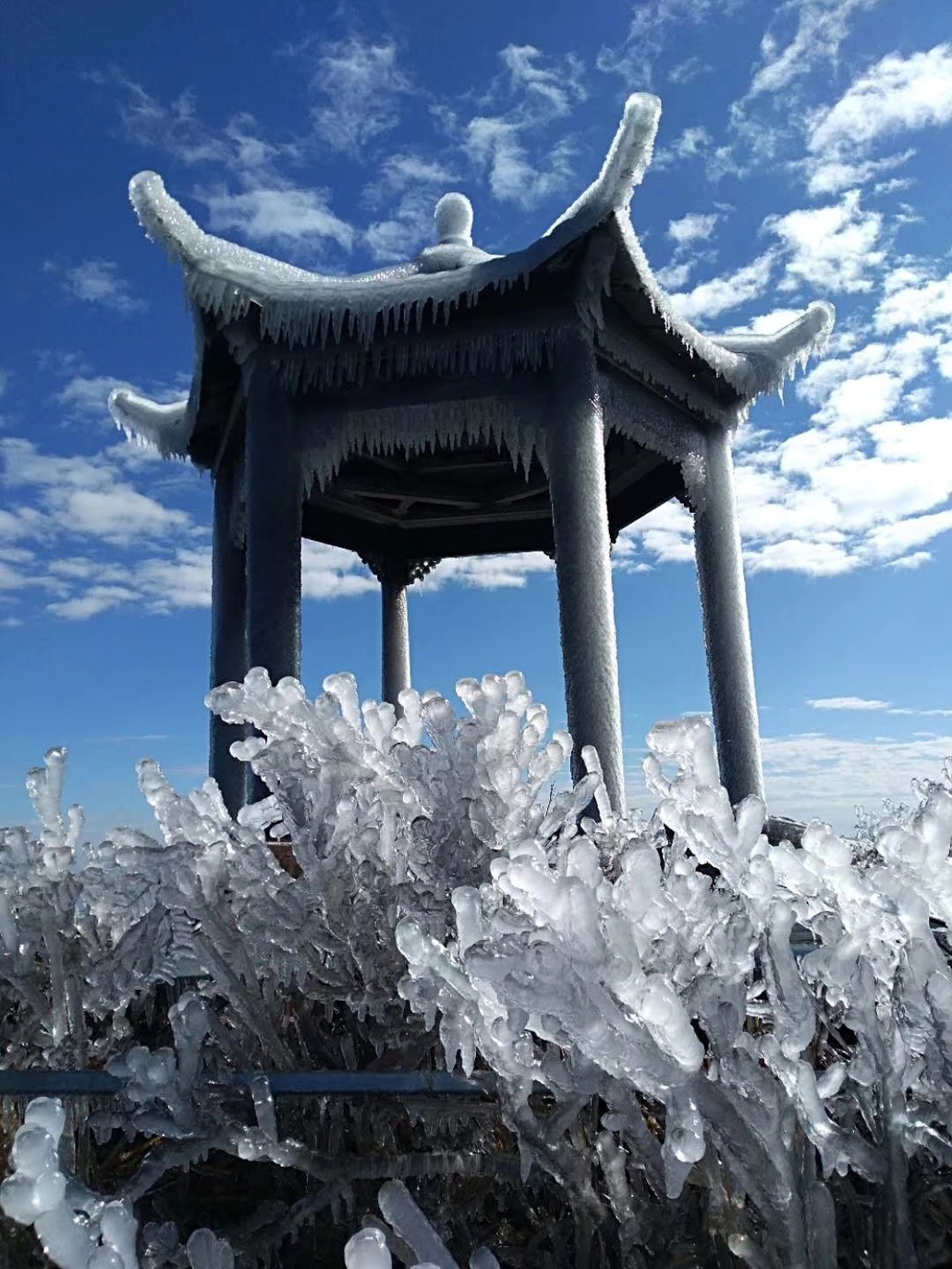 10月14日挑战广东第一天梯金子山，最高的玻璃栈道和玻璃天梯！_活动