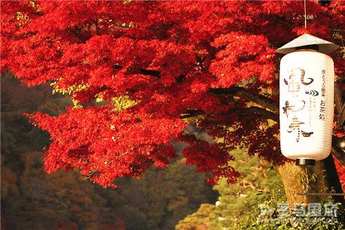 日本秋季旅游