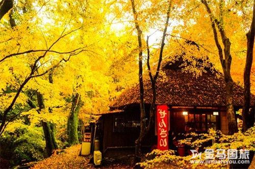 日本秋季旅游