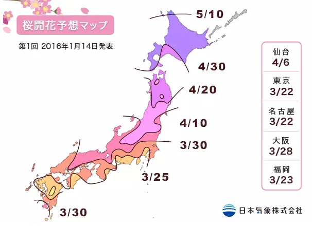 2016日本赏樱全攻略
