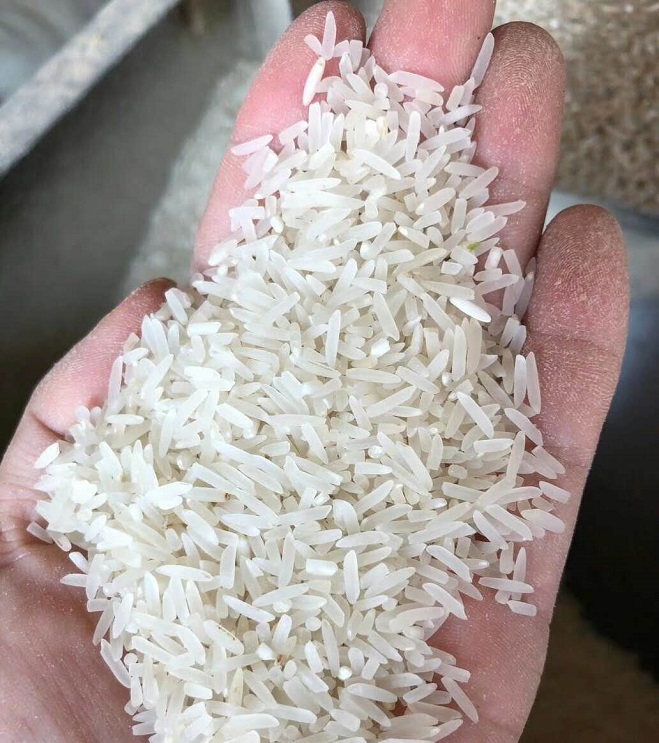 汇棉农业农家象牙米吃过的都会复购现货直供百分百无抛光现碾现售浓浓