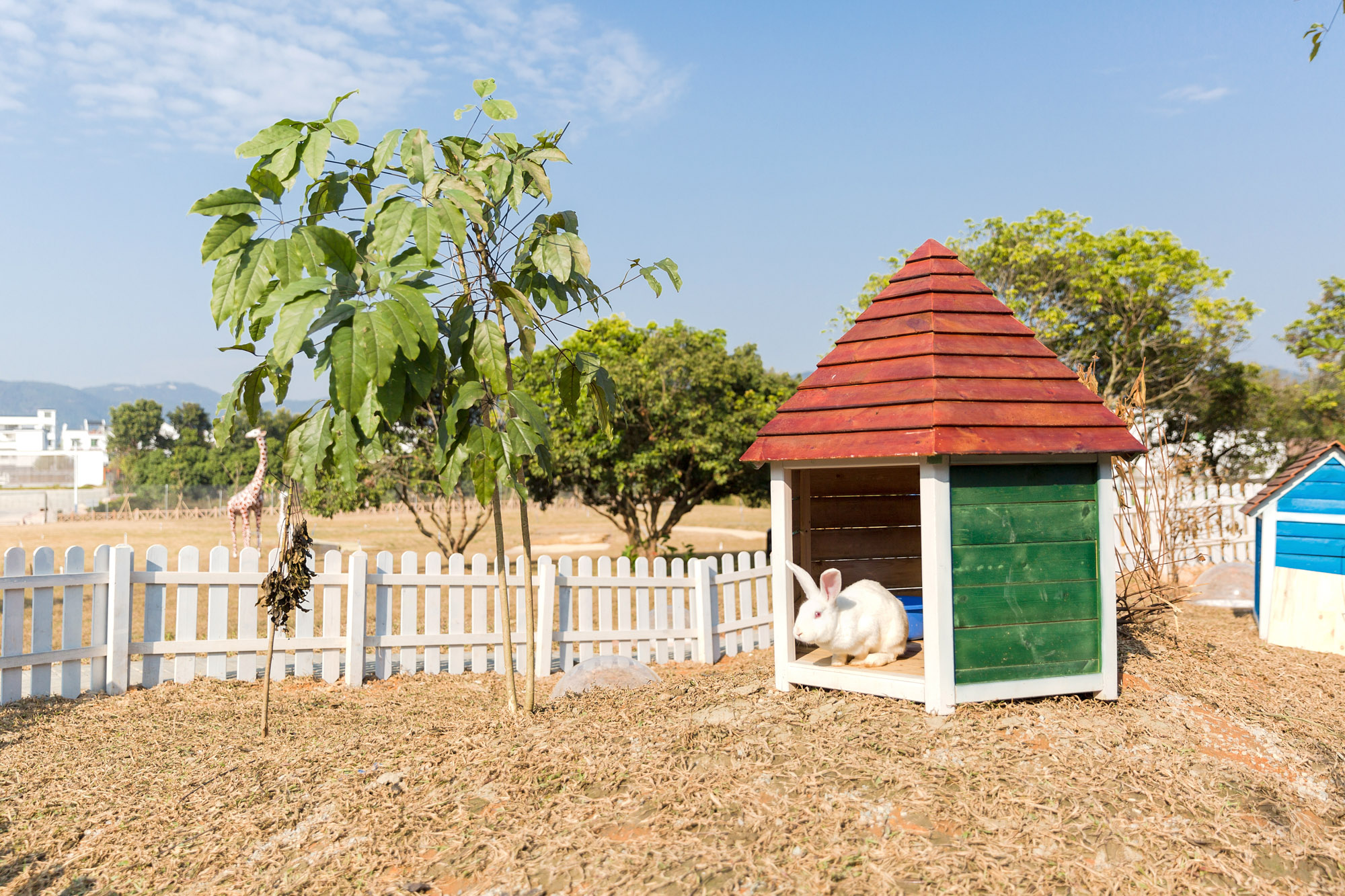 【户外体验】广州北纬23°8′森林营地/自由行套票