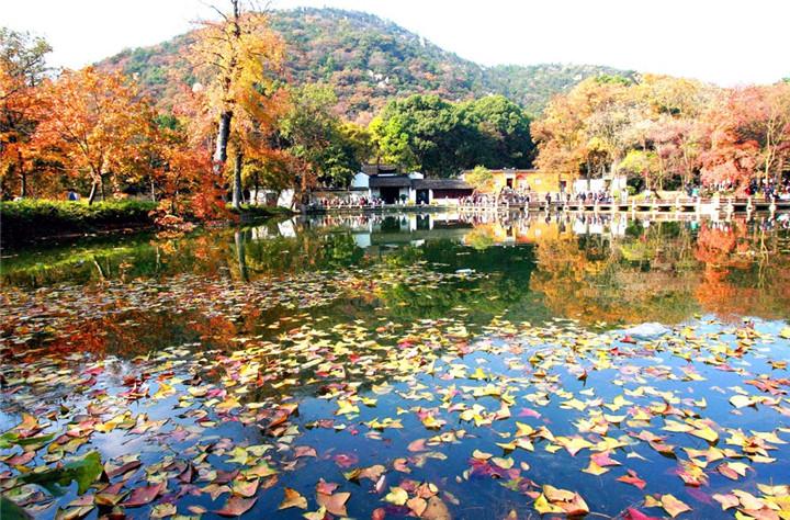 天平山赏红枫