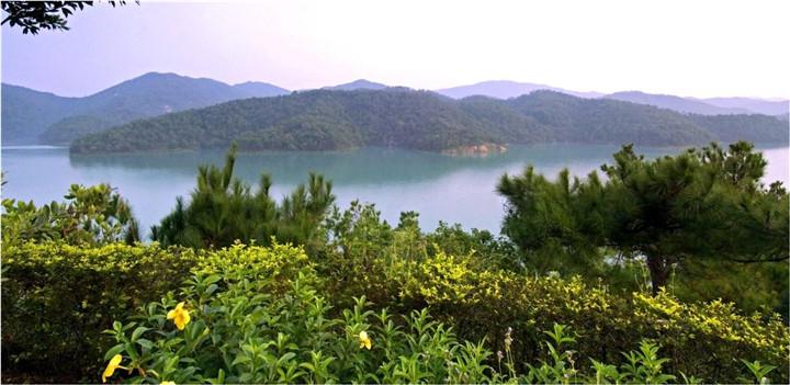九龙湖公主酒店 九龙湖公主酒店