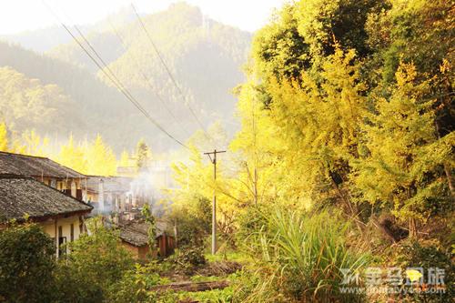 南雄帽子峰林场