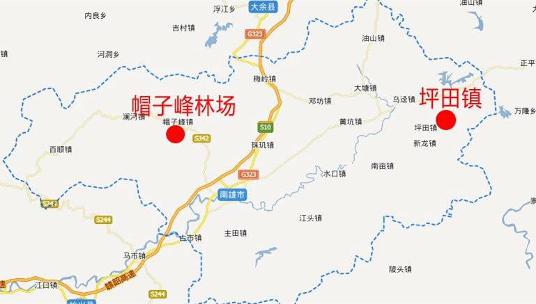 南雄银杏攻略