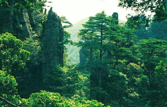 广州到莽山旅游