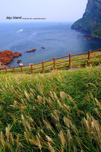 济州岛旅游攻略