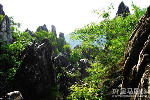 广州到贺州旅游团购
