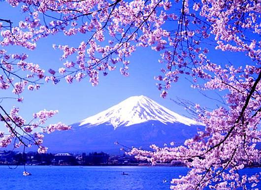 2015春节出境游