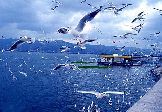 过年去云南旅游攻略