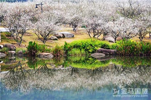 广州萝岗香雪公园旅游攻略