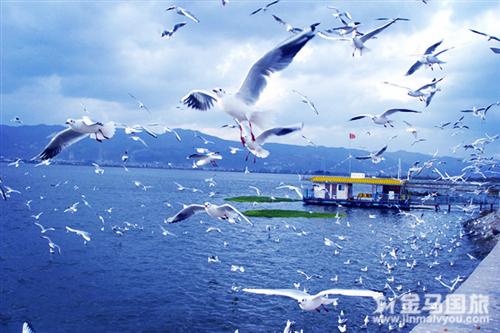 春节云南旅游