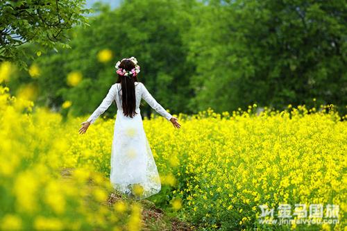 广州周边游