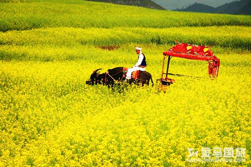 云南旅游景点大全