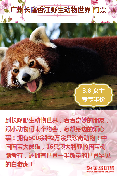 三八妇女节旅游