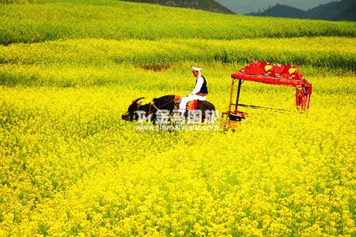 云南旅游景点
