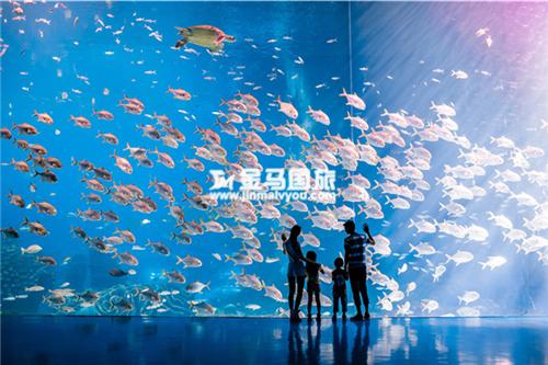 珠海长隆