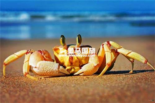 惠州巽寮湾