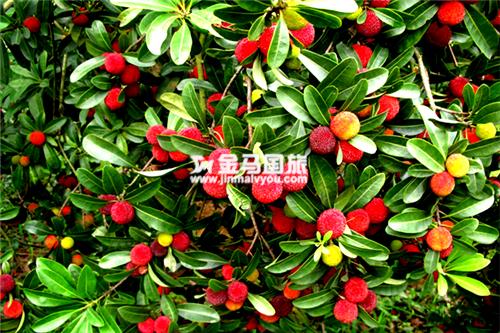 广州六一好去处
