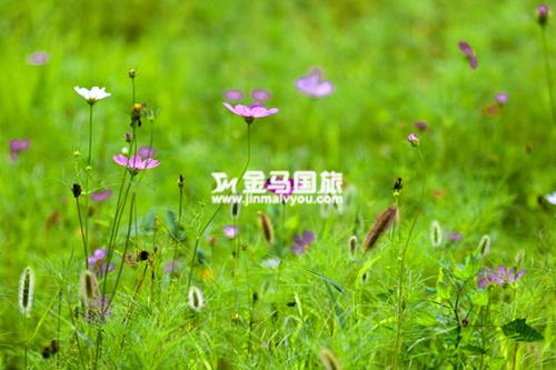 北京旅游景点