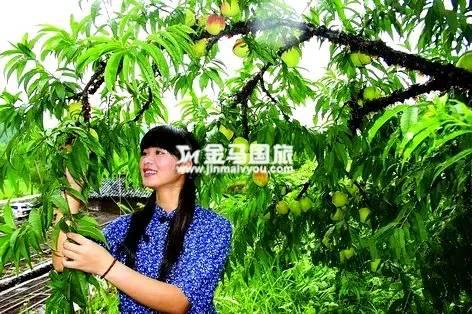 广州周边游