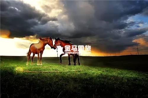 内蒙古草原旅游
