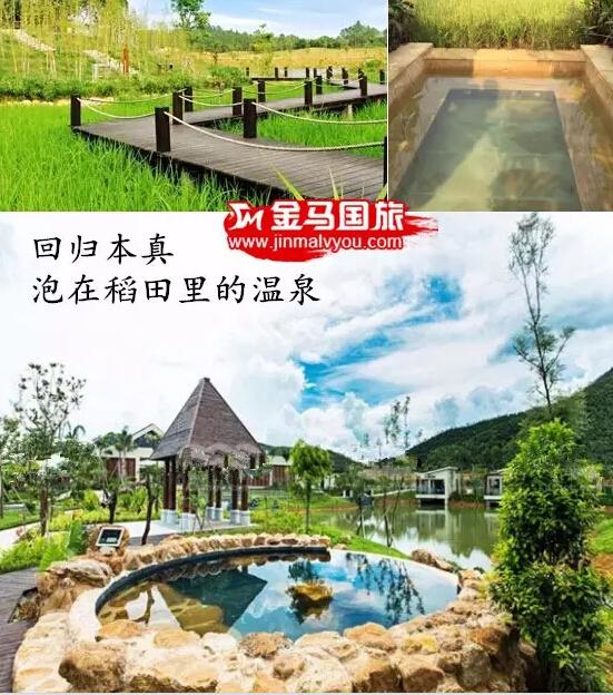 恩平泉林度假村 恩平泉林度假村