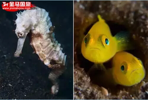 美娜多旅游 美娜多旅游