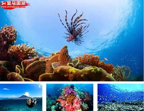 美娜多旅游 美娜多旅游