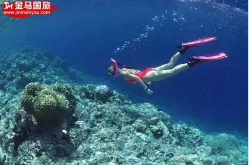 美娜多旅游 美娜多旅游