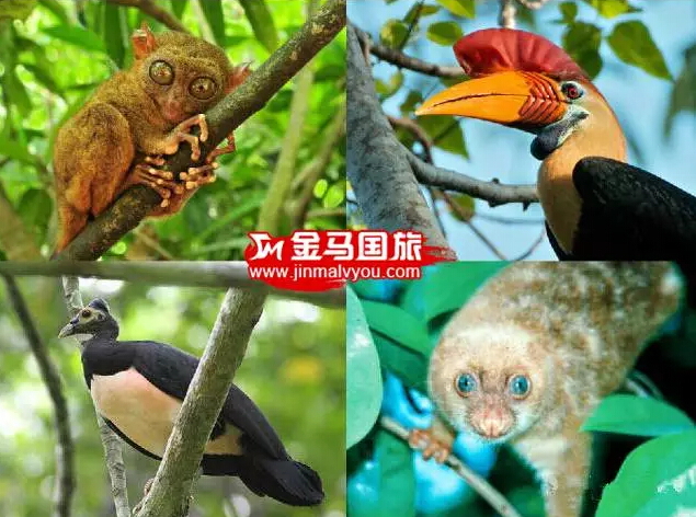 美娜多旅游 美娜多旅游