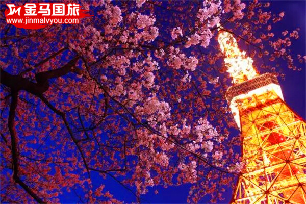 2016日本赏樱全攻略 2016日本赏樱全攻略
