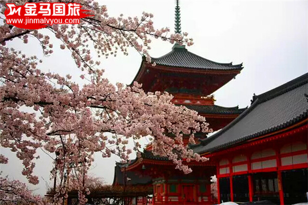 2016日本赏樱全攻略 2016日本赏樱全攻略