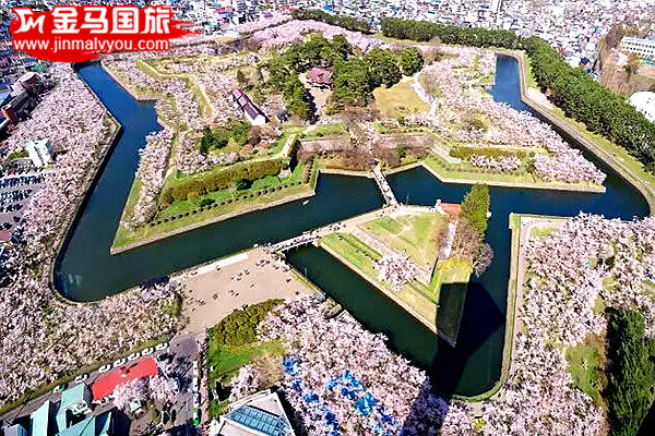 2016日本赏樱全攻略 2016日本赏樱全攻略
