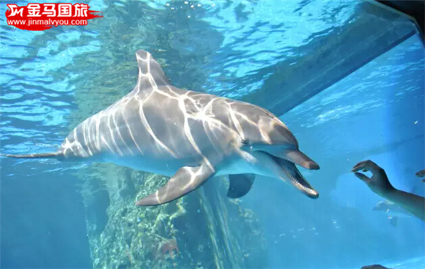珠海长隆海洋王国 珠海长隆海洋王国