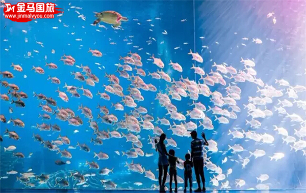 珠海长隆海洋王国 珠海长隆海洋王国