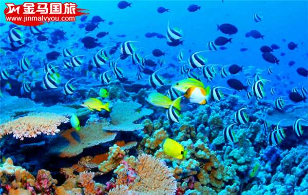澳洲亲子暑期 澳洲亲子暑期
