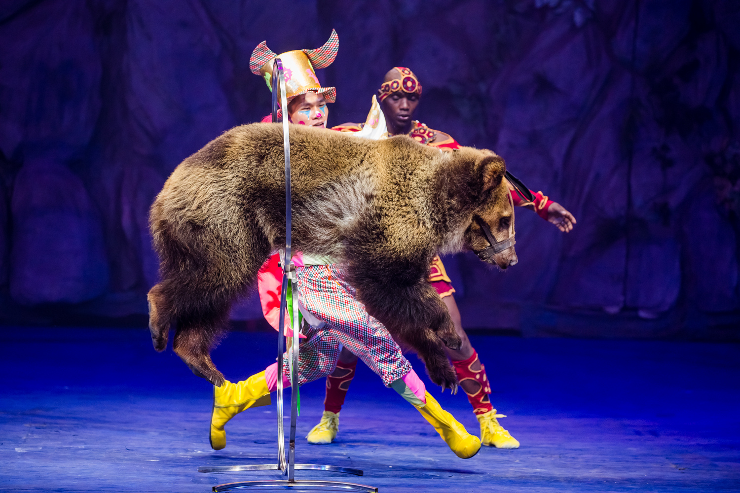 18父亲节特惠5折】广州长隆国际马戏大剧院/长隆大马戏门票【自动发取