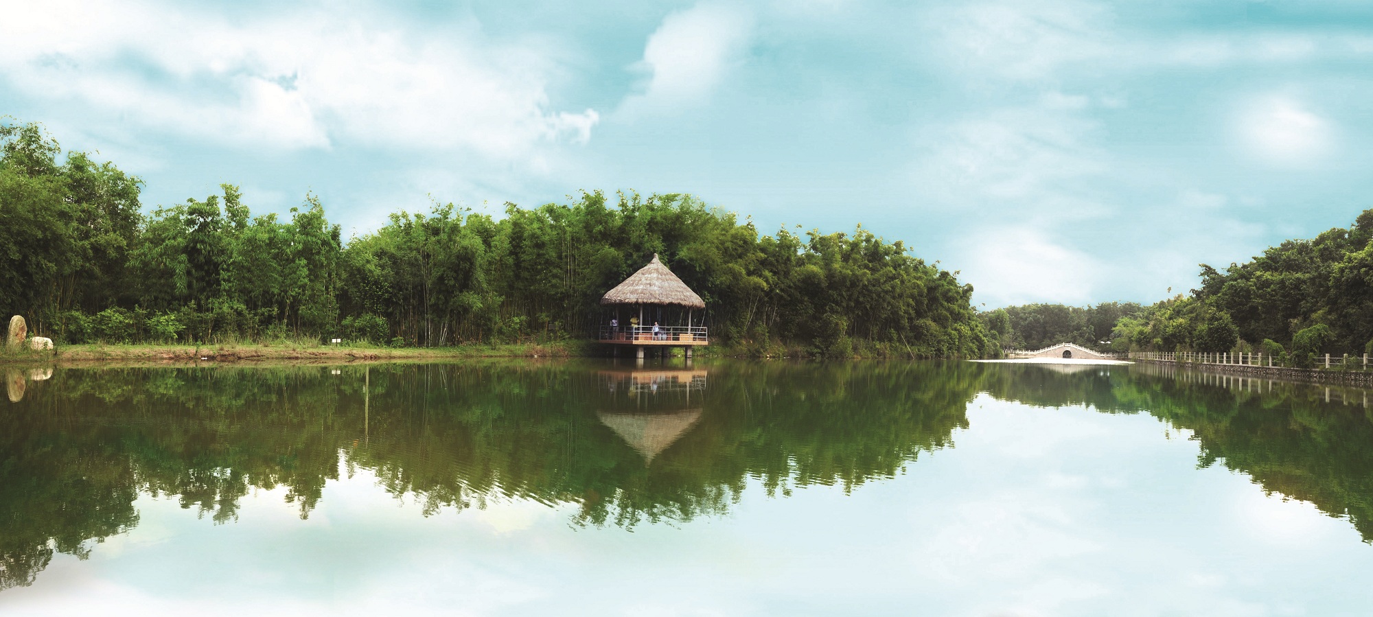 茂名森林公园门票